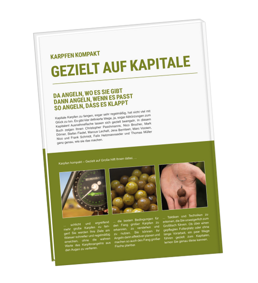 Karpfen kompakt - Gezielt auf Kapitale