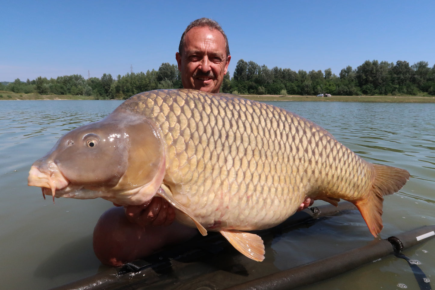 WATERCRAFT - Erfolgreich Karpfenangeln - Teil 3 (ebook)