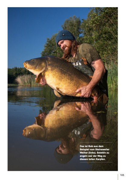 Karpfen kompakt Teil 1 und Teil 2 im Bundle