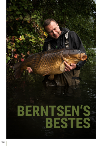 Karpfen kompakt Teil 1 und Teil 2 im Bundle