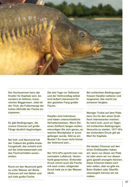 Karpfen kompakt Teil 1 und Teil 2 im Bundle