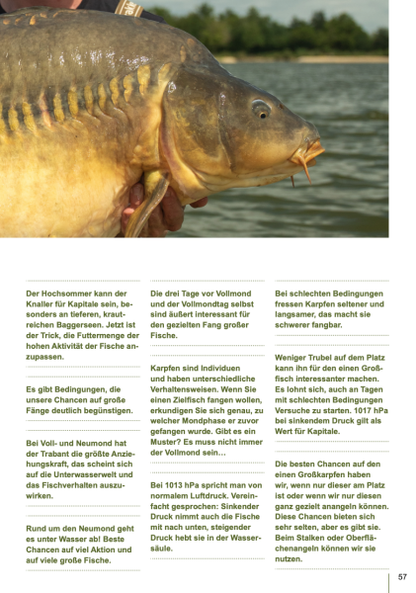 Karpfen kompakt Teil 1 und Teil 2 im Bundle