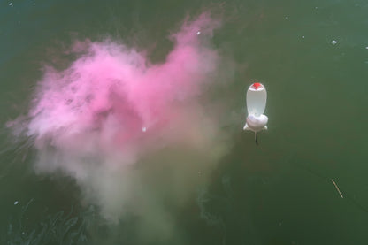 WATERCRAFT - Erfolgreich Karpfenangeln - Teil 3 (ebook)