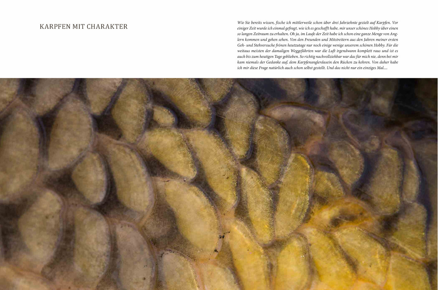 WATERCRAFT - Erfolgreich Karpfenangeln - Teil 2